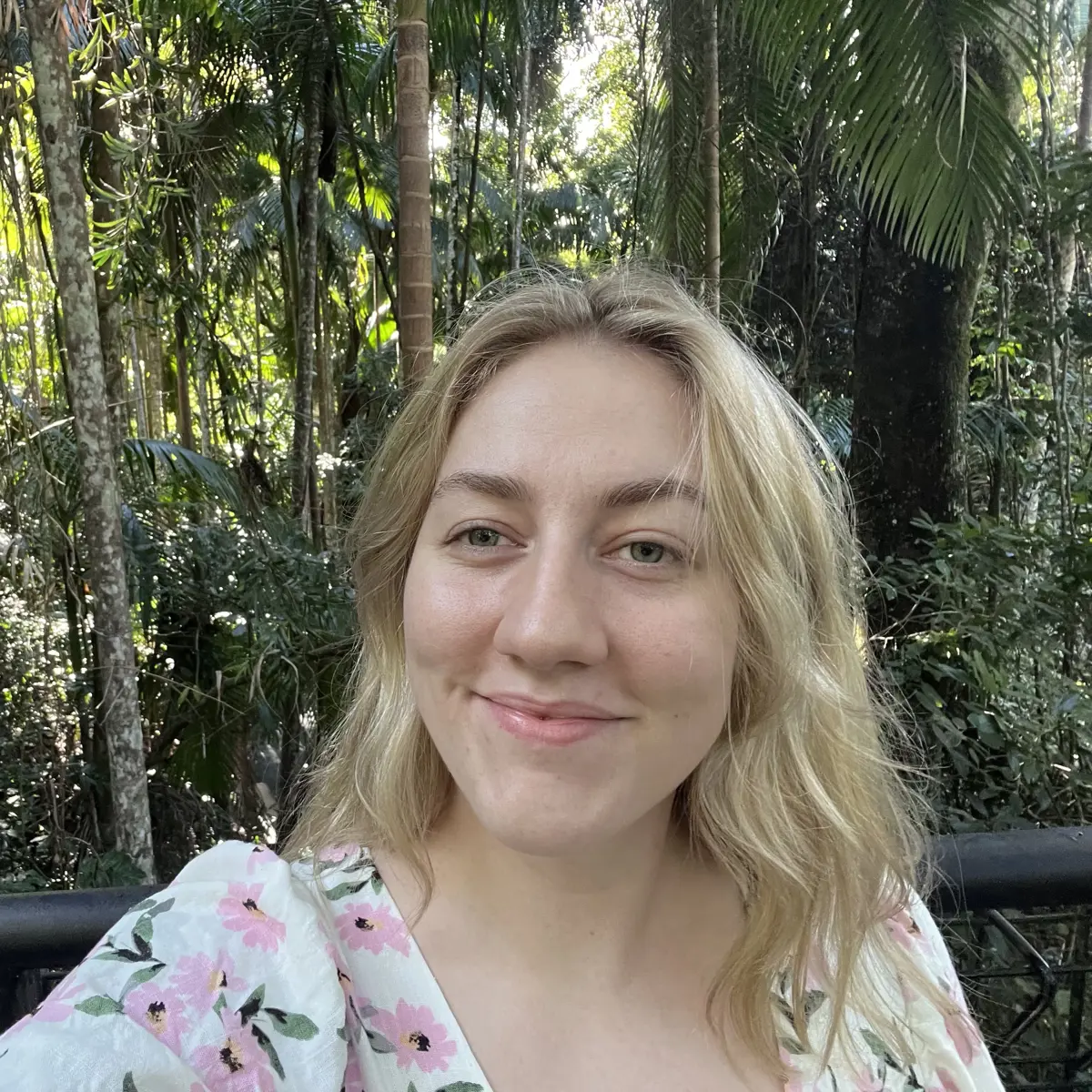 Insert image caption here!