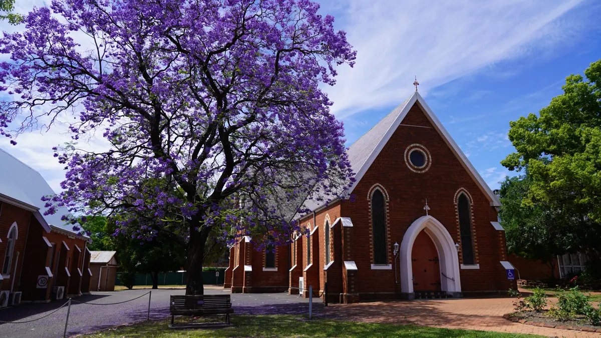 Insert image caption here!